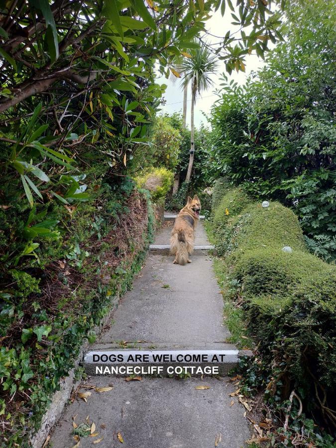 Dog Friendly Nancecliff Cottages ลู ภายนอก รูปภาพ