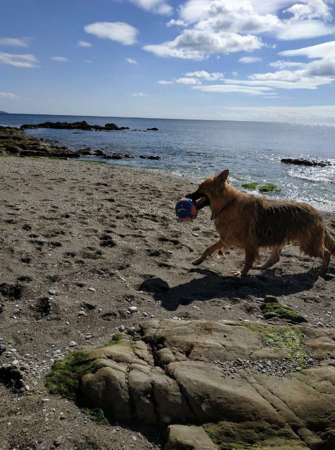 Dog Friendly Nancecliff Cottages ลู ภายนอก รูปภาพ